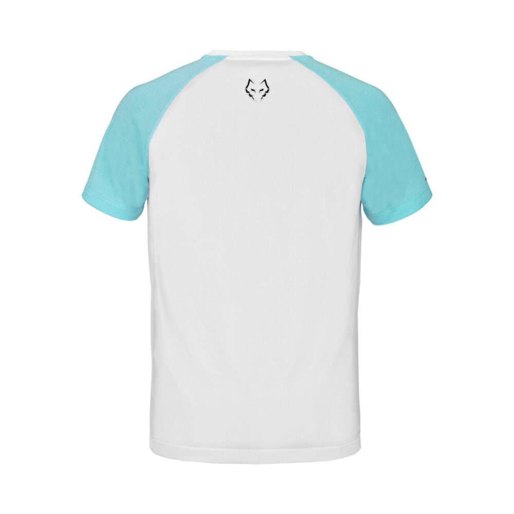 Babolat CREW NECK TEE LEBRON White image 2
