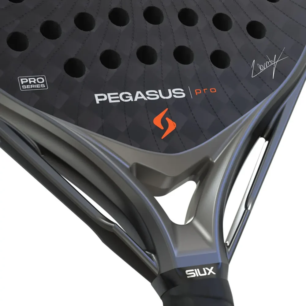 Siux Pegasus Pro 2026 Padel Racket Alex Chozas Grey 05